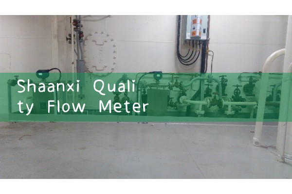 Shaanxi Quality Flow Meter Wholesale Manufacturer